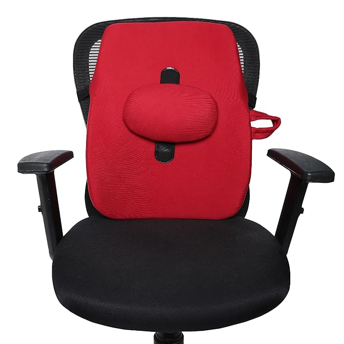 Flamingo Back Rest Support for Orthopedic Lumbar Support | Memory Foam Back Rest Cushion | Designed for Chairs, Car Seat | Improves Posture with Adjustable Seat Cushion