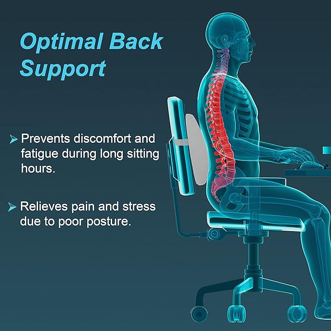 TYNOR Lumbo back rest for lower back support, comfortable sitting position for office and car. Ideal for all ages